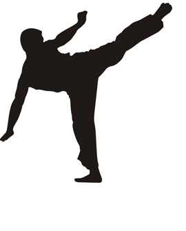 karate Toronto